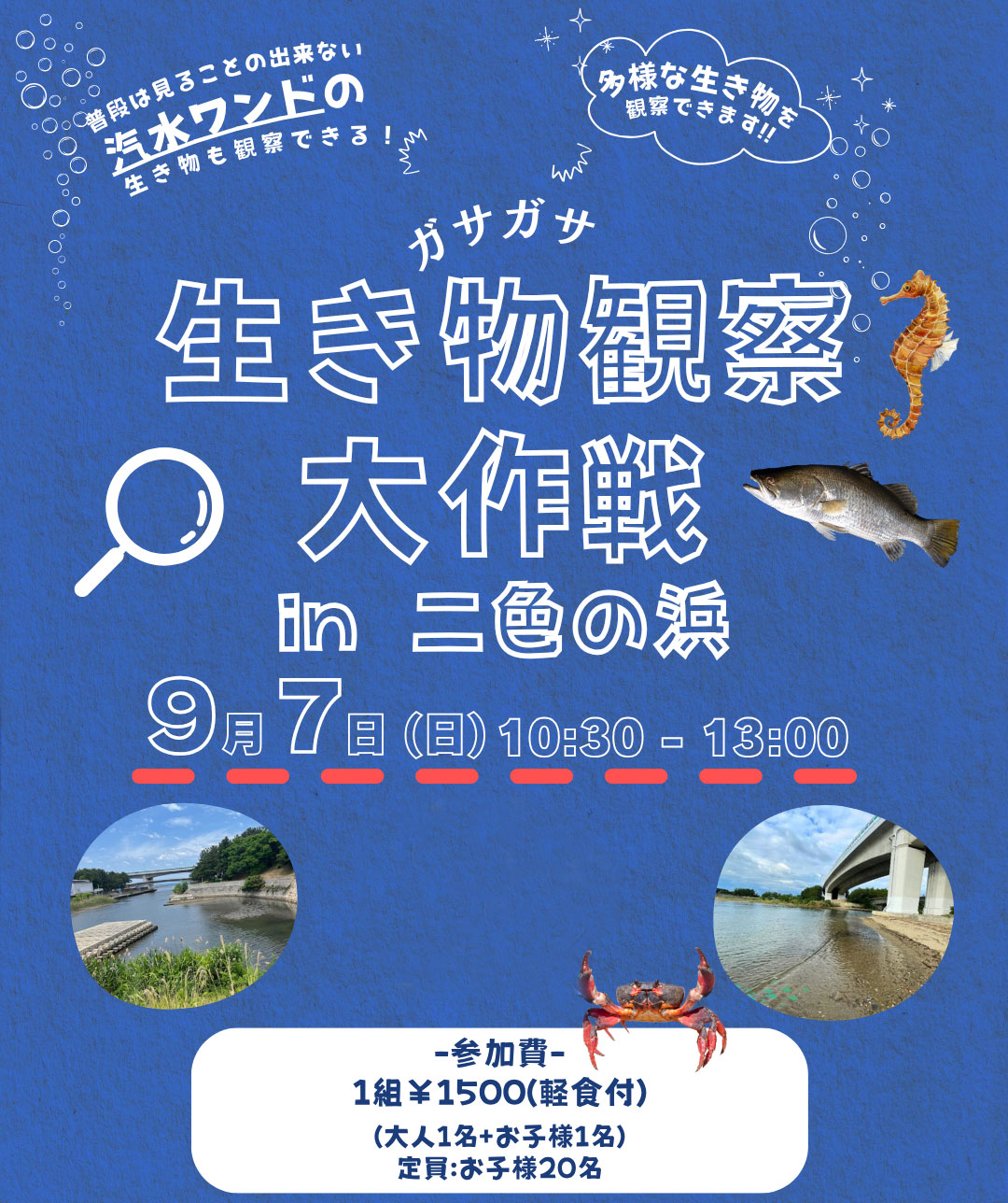 ガサガサ生き物観察大作戦in二色の浜