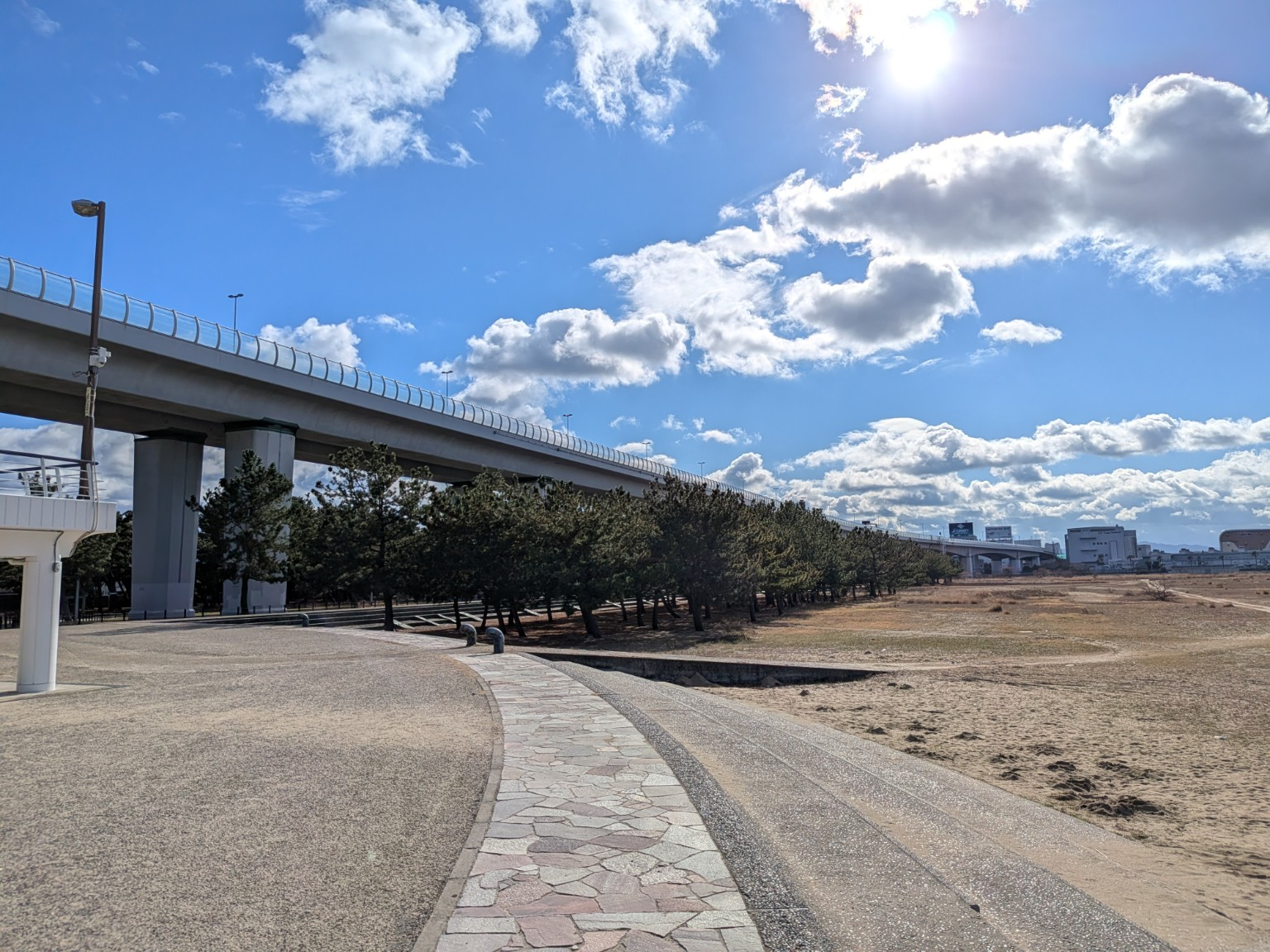 レストハウス周辺に広がる園路と松林
