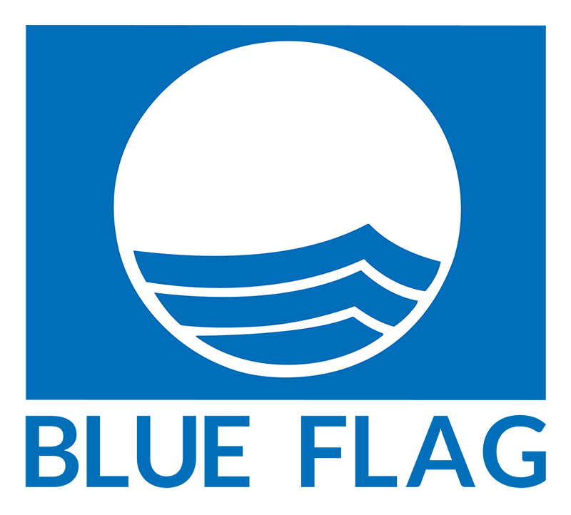 Blue Flag International