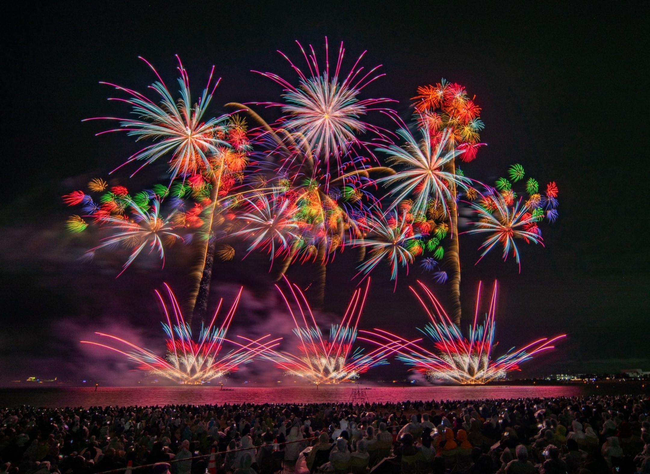 二色の浜公園 中央エリア・芝生広場